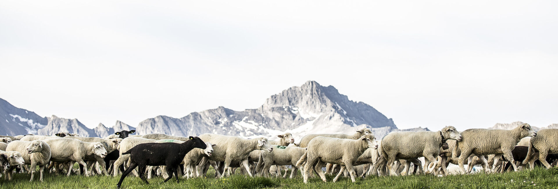 Samnaun Sommer "Alles Inklusive"-Angebot 